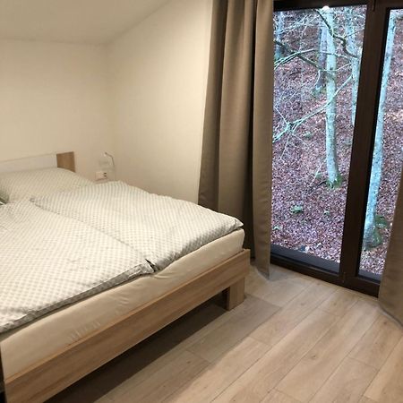 Apartmán Lúčnica Tále Esterno foto