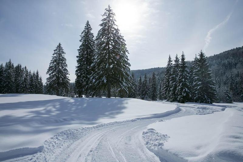Apartmán Lúčnica Tále Esterno foto